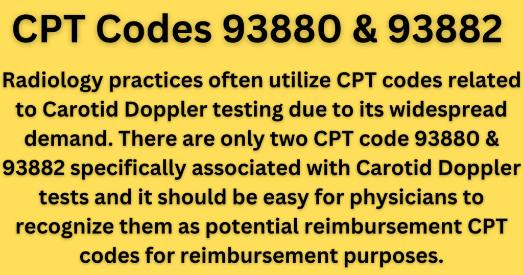 CPT Code 93880 & 93882 